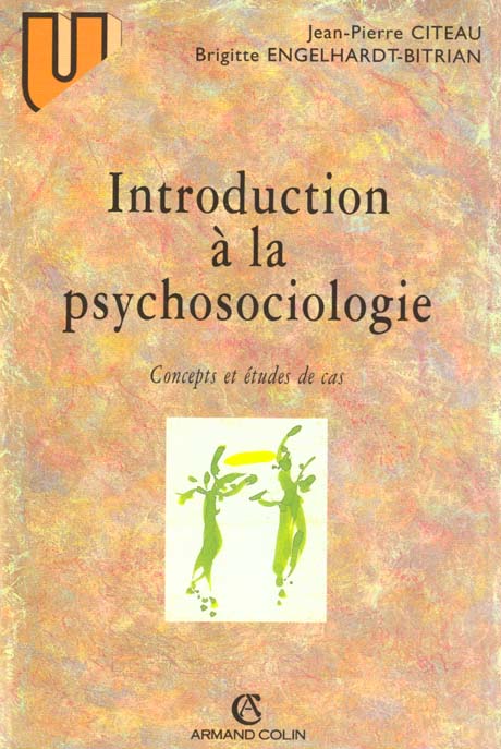Introduction à la psychosociologie ; concepts et etudes de cas