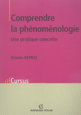 Comprendre la phénoménologie ; une pratique concrète