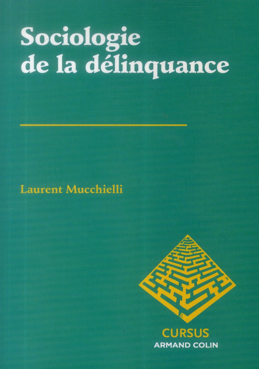 Sociologie de la délinquance