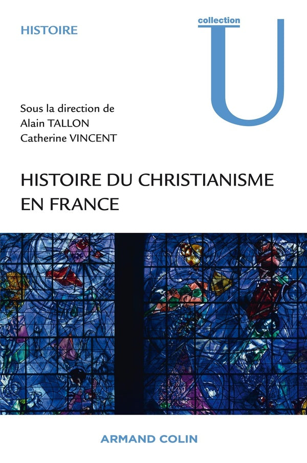 Histoire du christianisme en France ; des Gaules à l'époque contemporaine