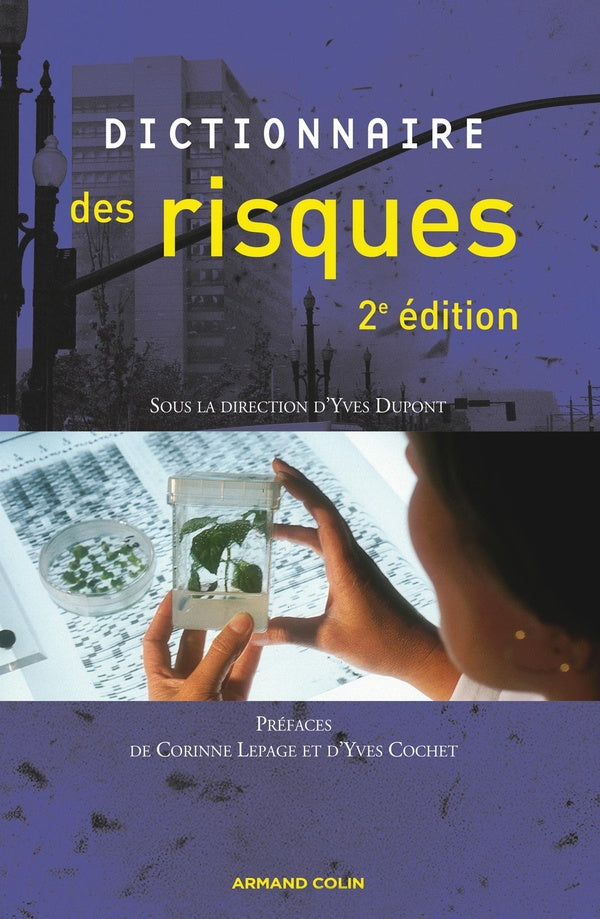 Dictionnaire des risques (2e édition)