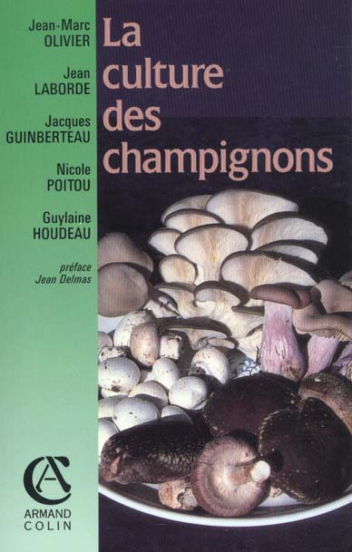 La culture des champignons