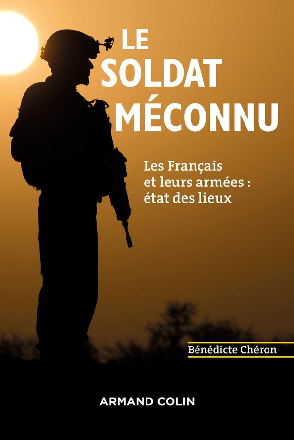 Le soldat méconnu ; les Français et leurs armées : état des lieux