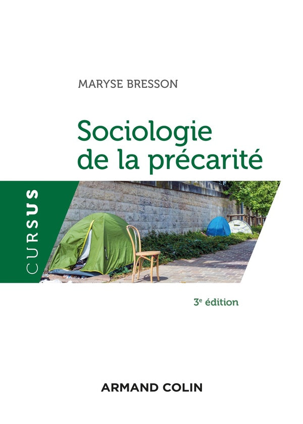 Sociologie de la précarité (3e édition)