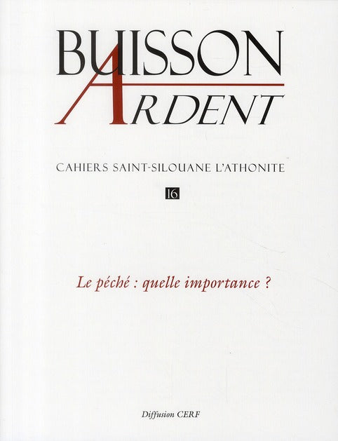 CAHIERS SAINT-SILOUANE L'ATHONITE Tome 16 : le péché : quelle importance ? - flash vidéo
