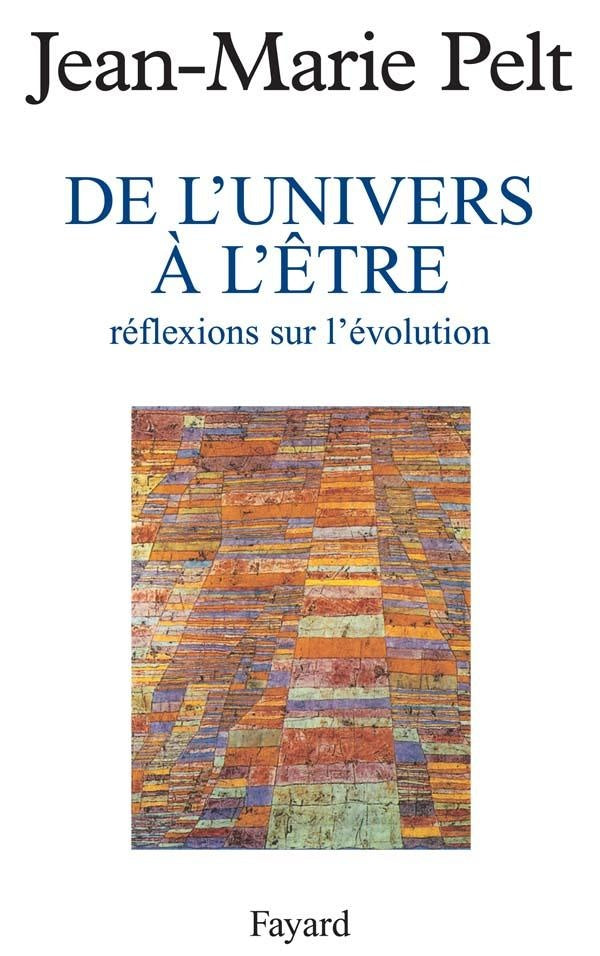 De l'univers à l'être ; réflexions sur l'évolution