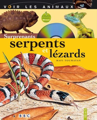 Surprenants serpents et lézard - flash vidéo