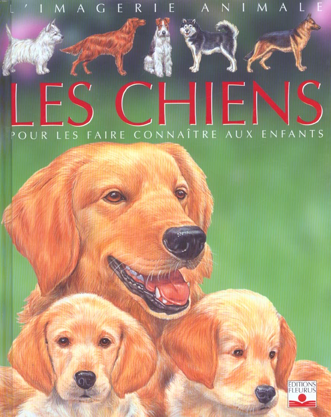 Les chiens ; pour les faire connaître aux enfants - flash vidéo