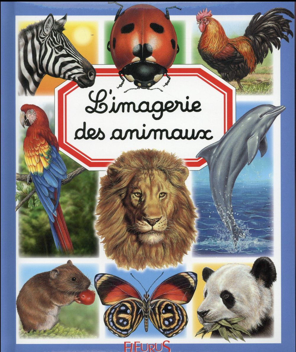 L'imagerie des animaux - flash vidéo