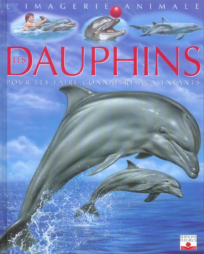 Les dauphins - flash vidéo