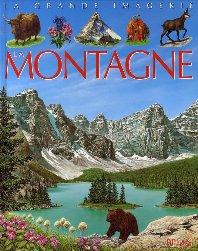 La montagne - flash vidéo