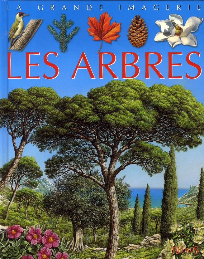 Les arbres - flash vidéo
