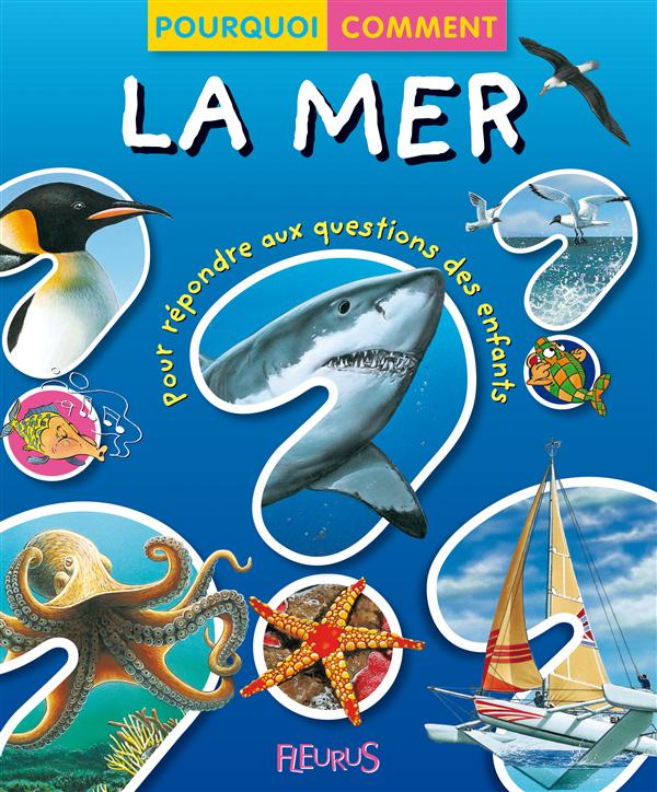 La mer - flash vidéo