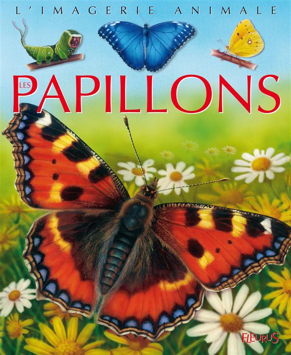 Les papillons - flash vidéo
