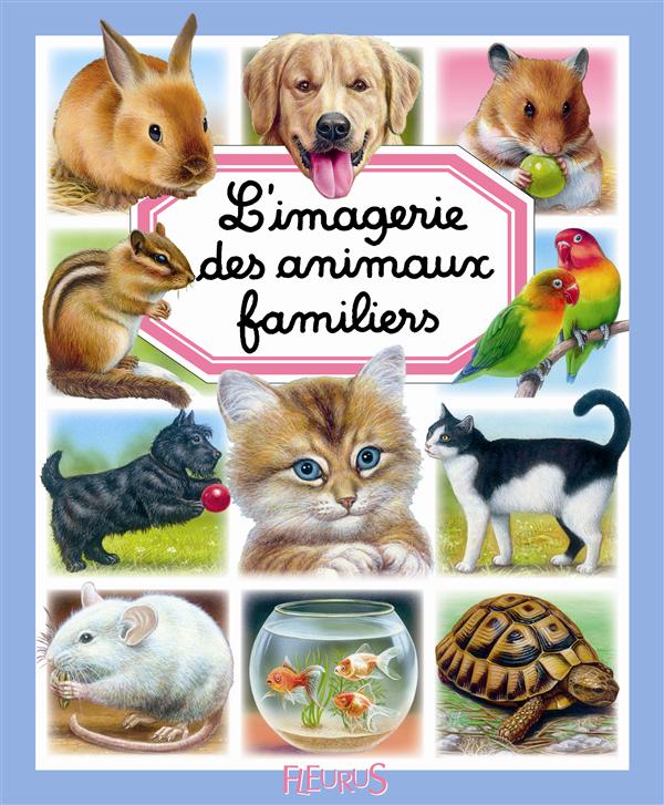 L'imagerie des animaux familiers - flash vidéo