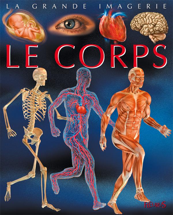 Le corps - flash vidéo