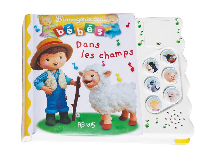 Dans les champs - flash vidéo