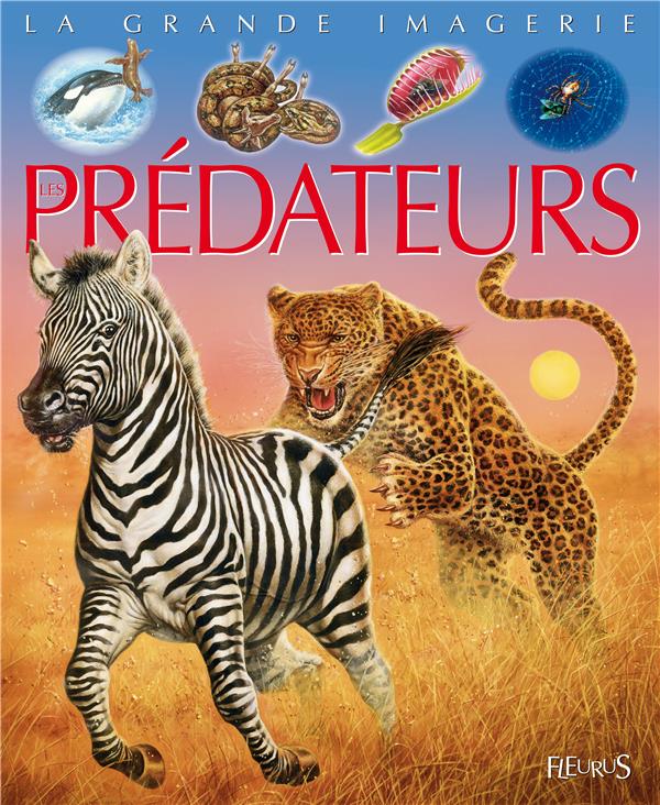 Les prédateurs - flash vidéo