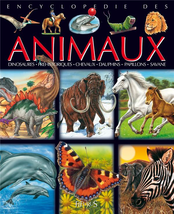 Les animaux - flash vidéo