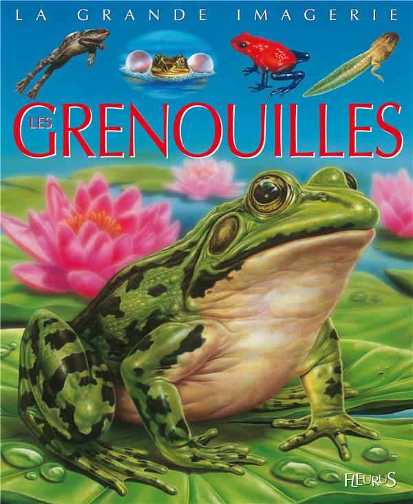 Les grenouilles - flash vidéo