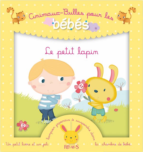 Le petit lapin - flash vidéo
