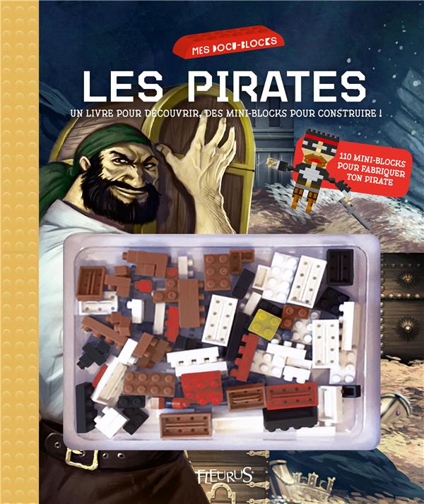 Les pirates - flash vidéo