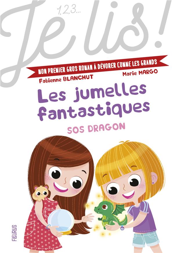 Les jumelles fantastiques Tome 2 : SOS dragon - flash vidéo