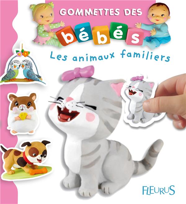 Les animaux familiers - flash vidéo