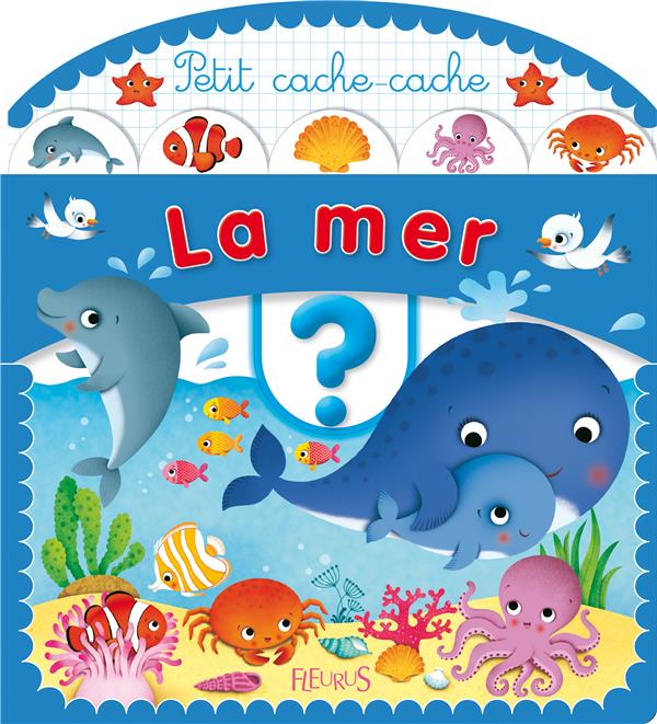 La mer - flash vidéo