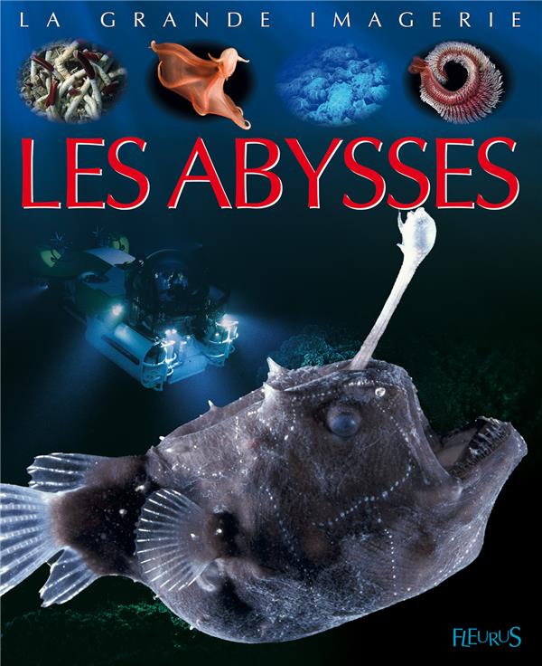 Les abysses - flash vidéo