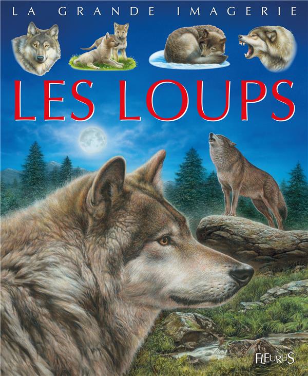 Les loups - flash vidéo