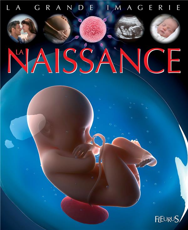La naissance - flash vidéo