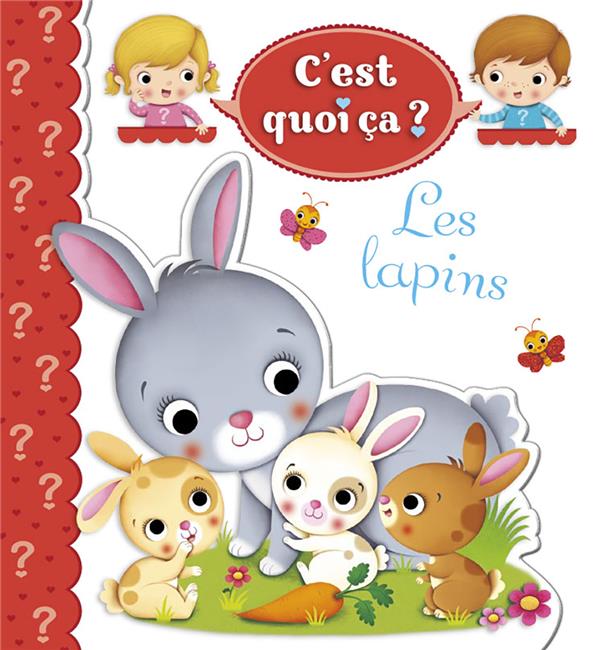 C'est quoi ça ? : les lapins - flash vidéo