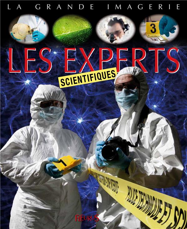 Les experts - flash vidéo