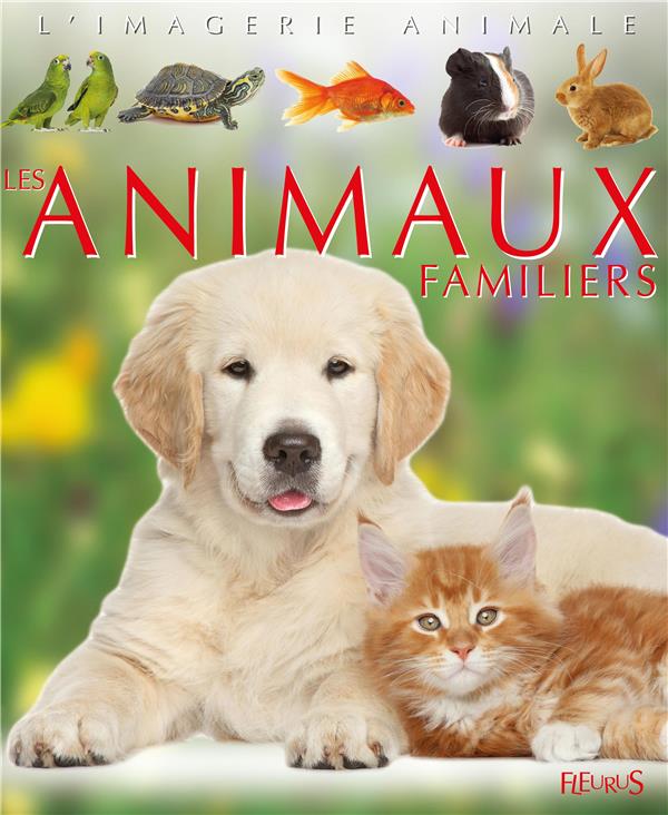 Les animaux familiers - flash vidéo