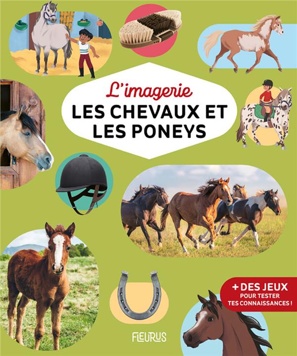 L'imagerie du poney et du cheval - flash vidéo