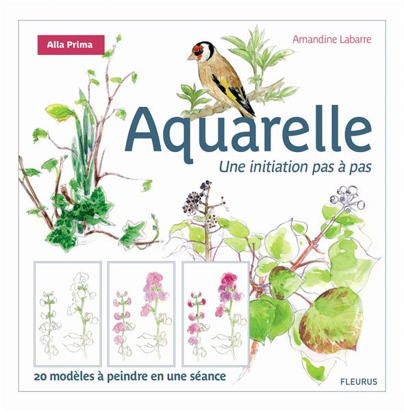L'aquarelle ; une initiation pas à pas - flash vidéo