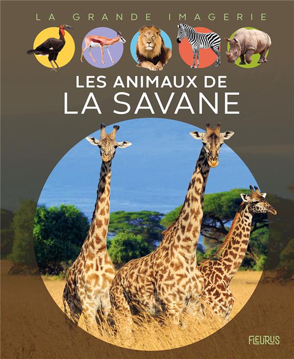 Les animaux de la savane - flash vidéo