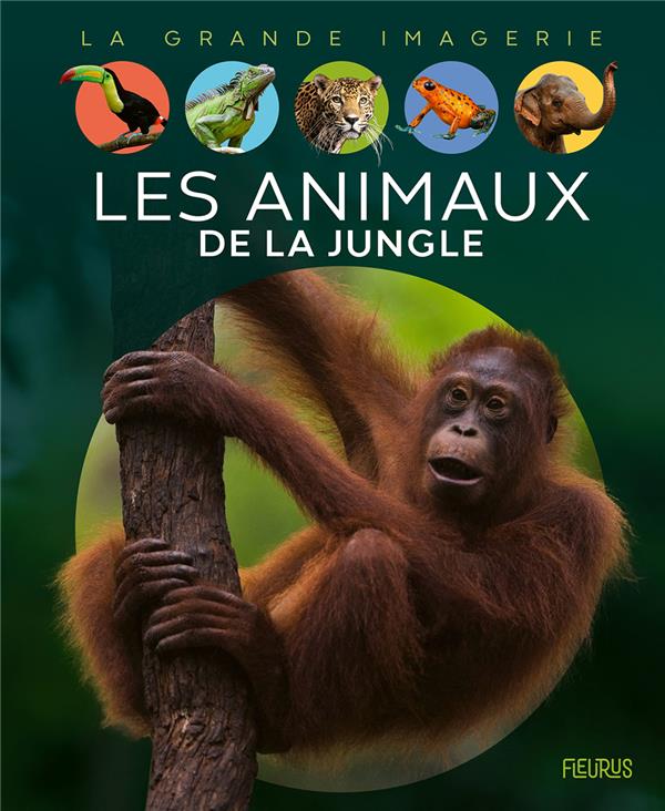 Les animaux de la jungle - flash vidéo