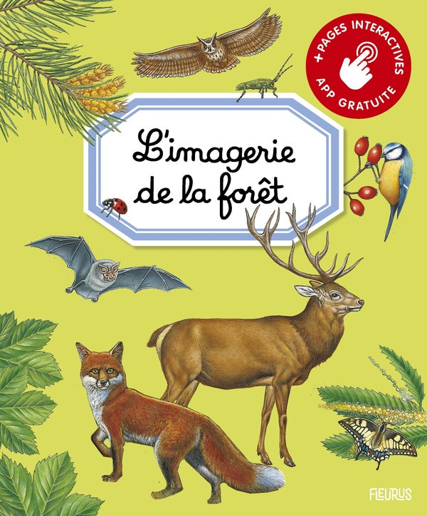 L'imagerie de la forêt