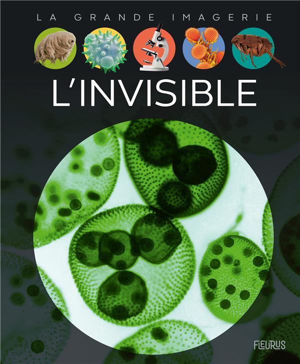 L'invisible - flash vidéo