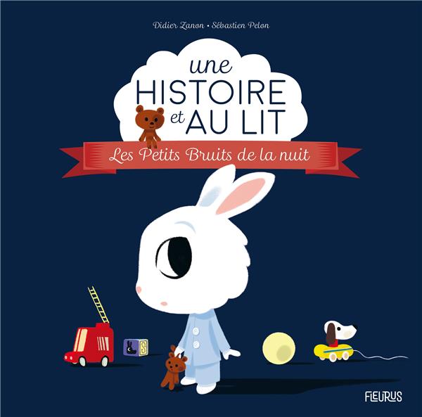 Les petits bruits de la nuit - flash vidéo
