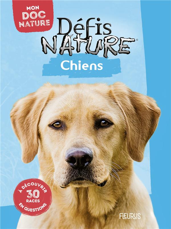 Chiens - flash vidéo