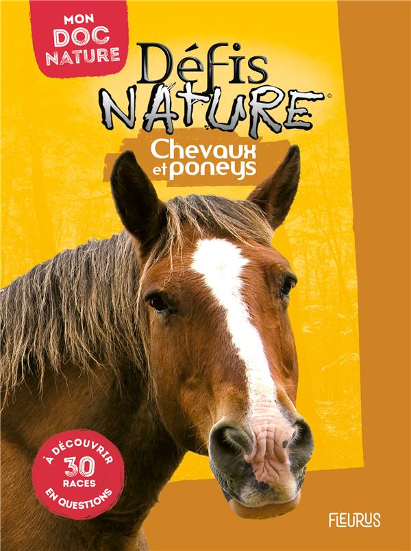 Chevaux et poneys - flash vidéo