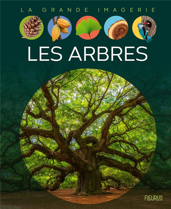 Les arbres - flash vidéo