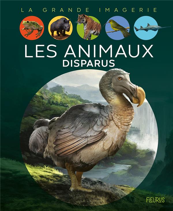 Les animaux disparus - flash vidéo