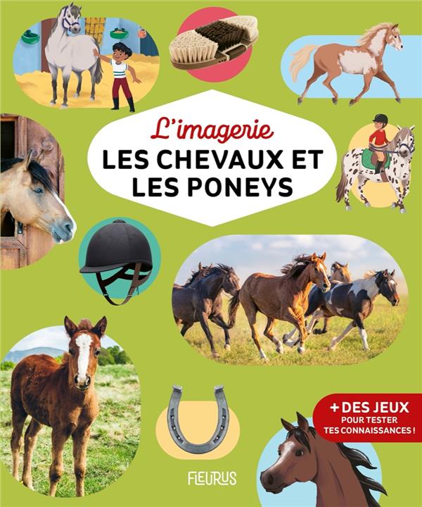 Les chevaux et les poneys - flash vidéo