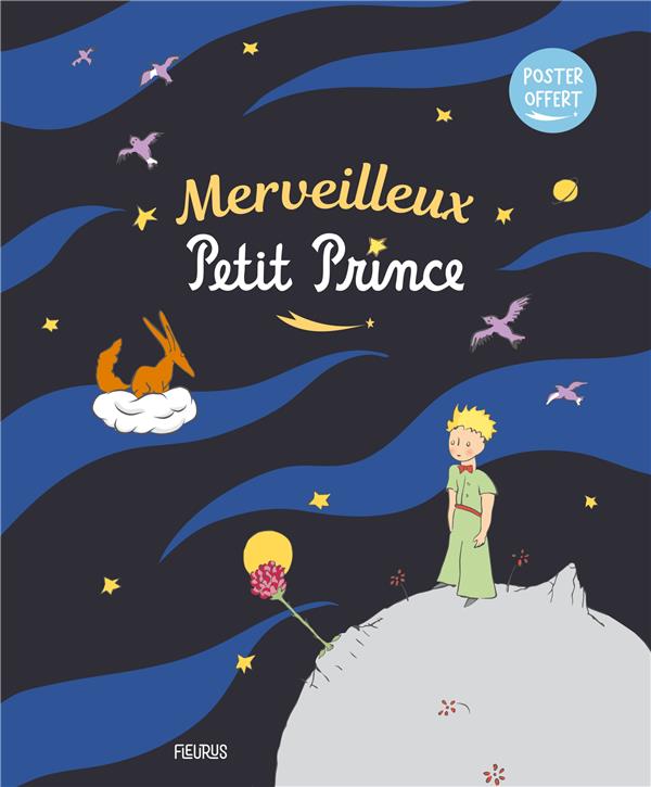 Merveilleux petit prince - flash vidéo