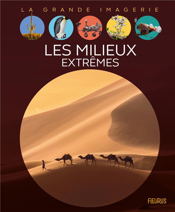 Les milieux extrêmes - flash vidéo