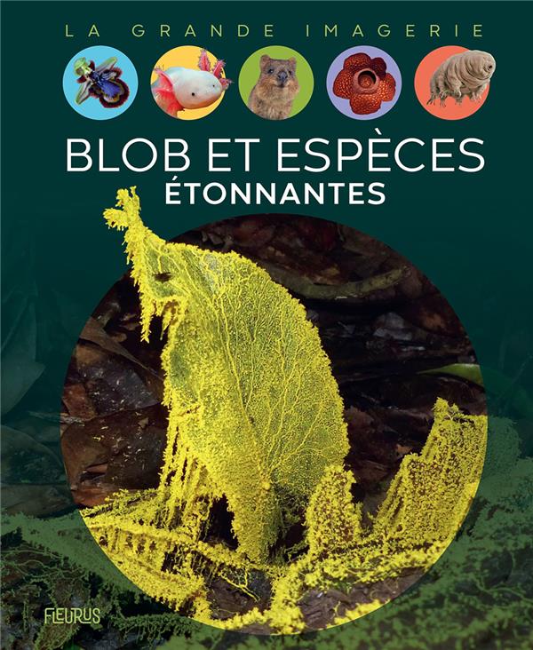 Blob et espèces étonnantes - flash vidéo
